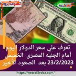 سعر الدولار اليوم أمام الجنيه المصرى الخميس 23/2/2023 بعد الصعود الأخير