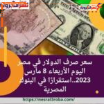  سعر صرف الدولار في مصر اليوم الأربعاء 8 مارس 2023..استقرارًا في البنوك المصرية