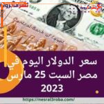سعر الدولار اليوم في مصر السبت 25 مارس 2023.. استقراره مقابل الجنيه