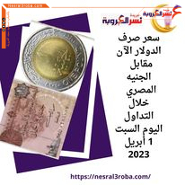  سعر صرف الدولار الآن مقابل الجنيه المصري خلال التداول اليوم السبت 1 أبريل 2023