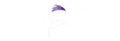 جريدة نسر العروبة