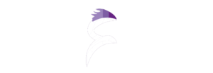 جريدة نسر العروبة