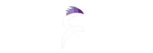 جريدة نسر العروبة