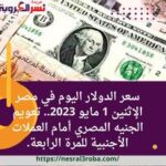 سعر الدولار اليوم في مصر الإثنين 1 مايو 2023.. تعويم الجنيه المصري أمام العملات الأجنبية للمرة الرابعة.