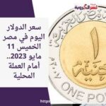 سعر الدولار اليوم في مصر الخميس 11 مايو 2023.. أمام العملة المحلية