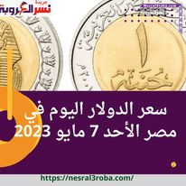 سعر صرف الدولار اليوم في مصر الأحد 7 مايو 2023.. رد فعل السوق السوداء على تراجع التصنيف