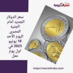 سعر الدولار الجديد أمام الجنيه المصرى اليوم الأحد 18 يونيو 2023 في اول يوم عمل