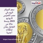 سعر الدولار اليوم في مصر الخميس 8 يونيو 2023..وسط حالة من التفاؤل بشأن تدفقات أجنبية