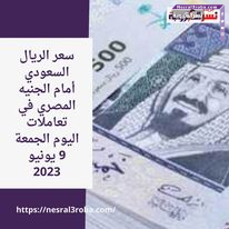 سعر الريال السعودي أمام الجنيه المصري في تعاملات اليوم الجمعة 9 يونيو 2023