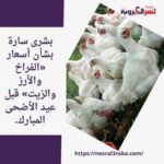بشرى سارة بشأن أسعار «الفراخ والأرز والزيت» قبل عيد الأضحى المبارك.