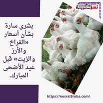 بشرى سارة بشأن أسعار «الفراخ والأرز والزيت» قبل عيد الأضحى المبارك.