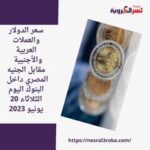 سعر الدولار والعملات العربية والأجنبية مقابل الجنيه المصري داخل البنوك اليوم الثلاثاء 20 يونيو 2023