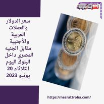 سعر الدولار والعملات العربية والأجنبية مقابل الجنيه المصري داخل البنوك اليوم الثلاثاء 20 يونيو 2023