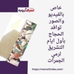خاص بالفيديو والصور توافد الحجاج بأول ايام التشريق لرمي الجمرات