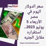 سعر الدولار اليوم في مصر الأربعاء 5 يوليو 2023.. استقراره مقابل الجنيه