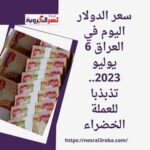 سعر الدولار اليوم في العراق 6 يوليو 2023.. تذبذبا للعملة الخضراء
