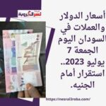 أسعار الدولار والعملات في السودان اليوم الجمعة 7 يوليو 2023.. استقرار أمام الجنيه.
