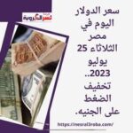 سعر الدولار اليوم في مصر الثلاثاء 25 يوليو 2023.. تخفيف الضغط على الجنيه.