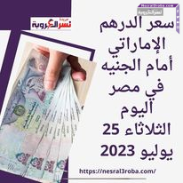 سعر الدرهم الإماراتي أمام الجنيه في مصر اليوم الثلاثاء 25 يوليو 2023