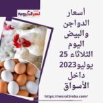 أسعار الدواجن والبيض اليوم الثلاثاء 25 يوليو2023 داخل الأسواق