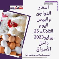 أسعار الدواجن والبيض اليوم الثلاثاء 25 يوليو2023 داخل الأسواق