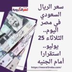 سعر الريال السعودي في مصر اليوم.. الثلاثاء 25 يوليو..استقرارا أمام الجنيه