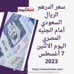 سعر الريال السعودي أمام الجنيه المصري اليوم الاثنين 7 أغسطس 2023