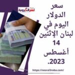 سعر الدولار اليوم في لبنان الإثنين 14 أغسطس 2023..توقعات بتحرك "الأخضر"