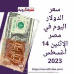 سعر الدولار اليوم في مصر الإثنين 14 أغسطس 2023..خلال التعاملات