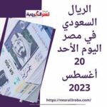 سعر الريال السعودي في مصر اليوم الأحد 20 أغسطس 2023..استقراراً ملحوظاً