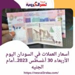 أسعار العملات في السودان اليوم الأربعاء 30 أغسطس 2023..أمام الجنيه