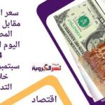 سعر الدولار مقابل الجنيه المصرى اليوم الاثنين 4 سبتمبر2023 خلال التداول