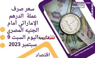 سعر صرف عملة الدرهم الإماراتي أمام الجنيه المصري اليوم السبت 9 سبتمبر 2023