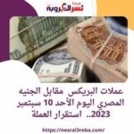 عملات البريكس مقابل الجنيه المصري اليوم الأحد 10 سبتمبر 2023.. استقرار العملة