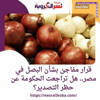 قرار مفاجئ بشأن البصل في مصر.. هل تراجعت الحكومة عن حظر التصدير؟