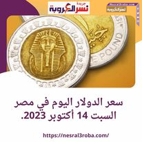 سعر الدولار اليوم في مصر السبت 14 أكتوبر 2023.. ارتفاع داخل السوق