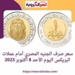 سعر صرف الجنيه المصري أمام عملات البريكس اليوم الأحد 8 أكتوبر 2023