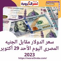 سعر الدولار مقابل الجنيه المصرى اليوم الأحد 29 أكتوبر 2023 داخل البنوك