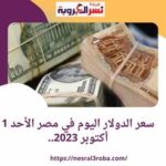 سعر الدولار اليوم في مصر الأحد 1 أكتوبر 2023.. ستعرض الحكومة إنجازاتها منذ 2011.