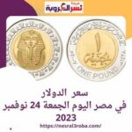 سعر صرف عملة الدولار اليوم في مصر الجمعة 24 نوفمبر 2023