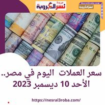 أسعار العملات العربية والأجنبية داخل مصر.. بكورة اليوم الأحد 10 ديسمبر 2023