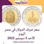 سعر صرف #الدولار اليوم في #مصر داخل #البنوك.. الأحد 3 ديسمبر 2023