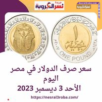 سعر صرف #الدولار اليوم في #مصر داخل #البنوك.. الأحد 3 ديسمبر 2023