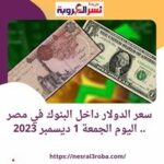 سعر الدولار داخل البنوك في مصر .. اليوم الجمعة 1 ديسمبر 2023