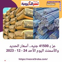 أسعار الحديد والأسمنت اليوم الأحد 24 ديسمبر 2023..تسليم أرض مصنع