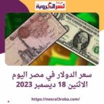سعر الدولار في مصر اليوم الاثنين 18 ديسمبر 2023.. شوف بكام لدى البنوك