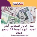 سعر صرف الريال السعودي أمام الجنيه بكورة اليوم الجمعة 29 ديسمبر 2023
