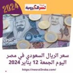 بسبب الاقبال موسم العمرات.. تعرف علي سعر الريال السعودي في مصر اليوم الجمعة 12 يناير 2024