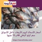 أسعار الأسماك اليوم الأربعاء داخل الأسواق سعر كيلو البلطي 68 و 72 جنيها
