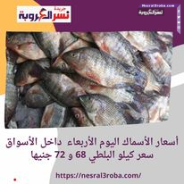 أسعار الأسماك اليوم الأربعاء داخل الأسواق سعر كيلو البلطي 68 و 72 جنيها